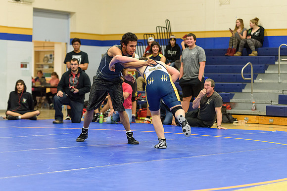 Wrestling DHS 011516-3-3547