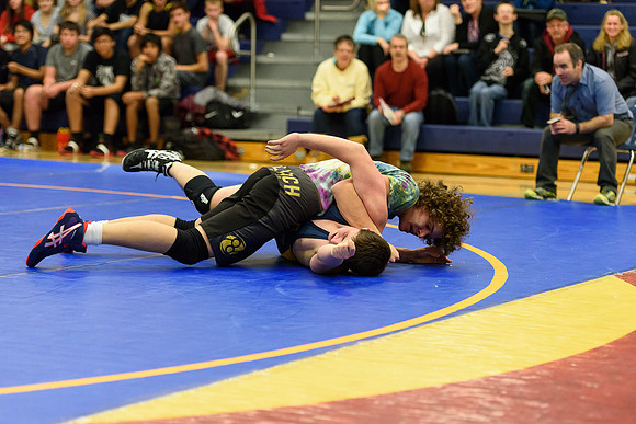 Wrestling DHS 011516-3-2228