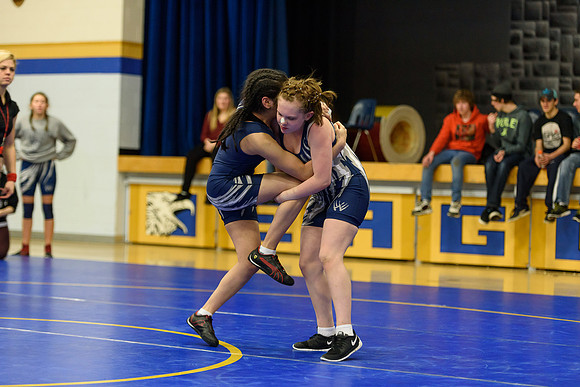 Wrestling DHS 011516-3-3168
