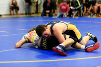 Wrestling DHS 011516-3-2155
