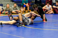 Wrestling DHS 011516-3-2584