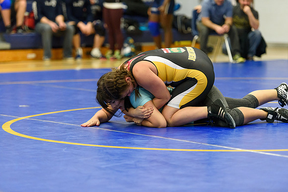 Wrestling DHS 011516-3-2411