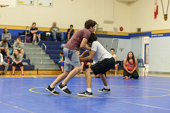 Wrestling DHS 011516-3-3686