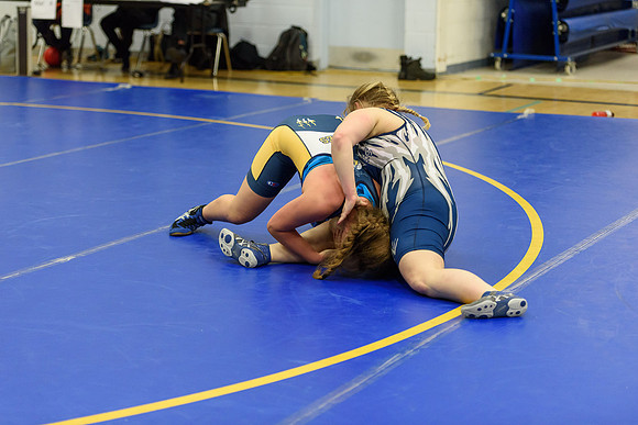 Wrestling DHS 011516-3-5863