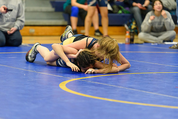 Wrestling DHS 011516-3-4128