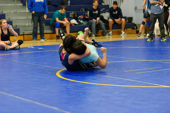 Wrestling DHS 011516-3-4335