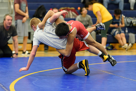 Wrestling DHS 011516-3-2656
