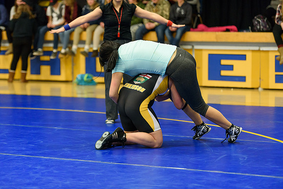 Wrestling DHS 011516-3-2385