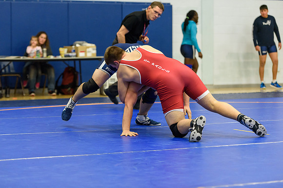 Wrestling DHS 011516-3-2689