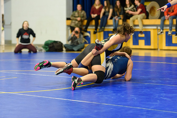 Wrestling DHS 011516-3-3356