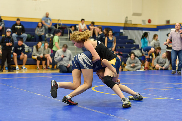 Wrestling DHS 011516-3-4093