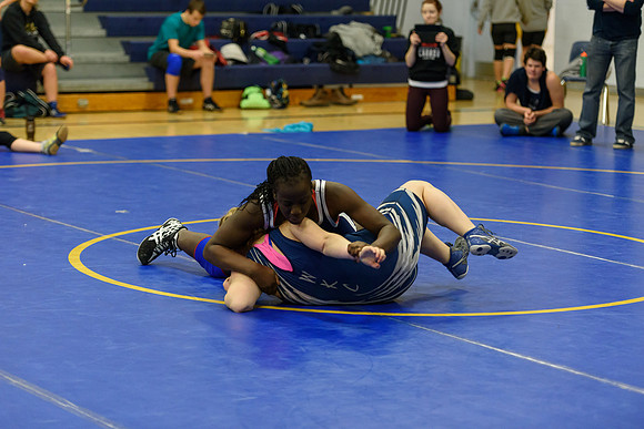 Wrestling DHS 011516-3-4371