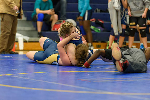 Wrestling DHS 011516-3-3528