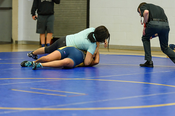 Wrestling DHS 011516-3-5098