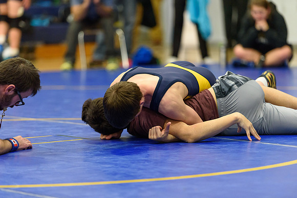 Wrestling DHS 011516-3-2818