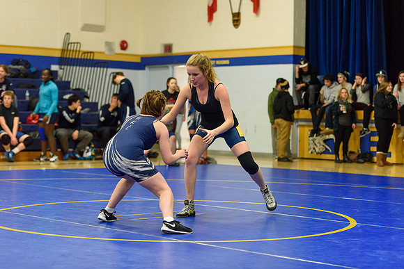 Wrestling DHS 011516-3-2170