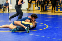 Wrestling DHS 011516-3-2348