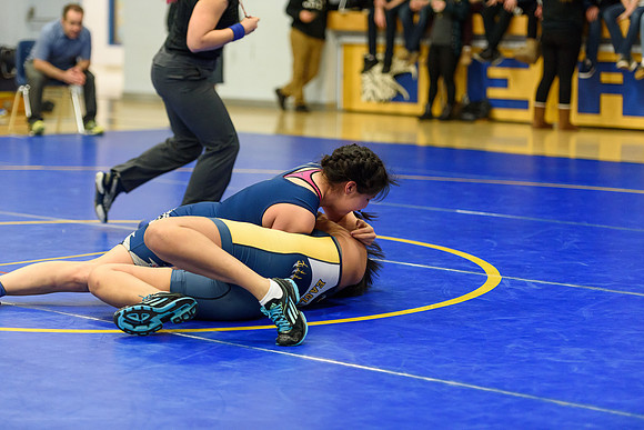 Wrestling DHS 011516-3-2348