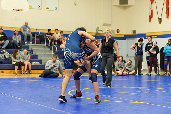 Wrestling DHS 011516-3-4152