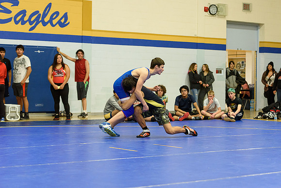 Wrestling DHS 011516-3-4175