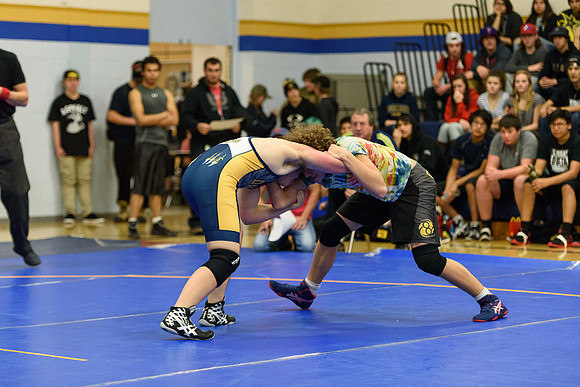 Wrestling DHS 011516-3-2114