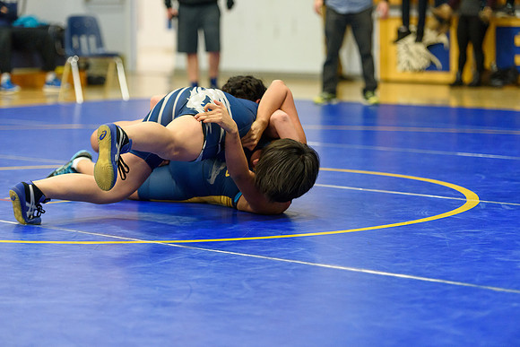 Wrestling DHS 011516-3-2343