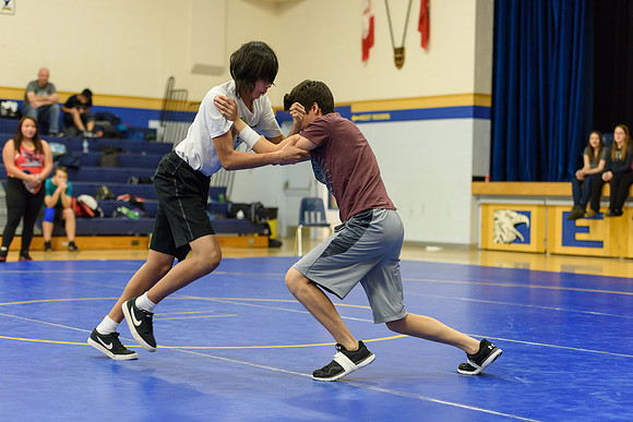 Wrestling DHS 011516-3-3609