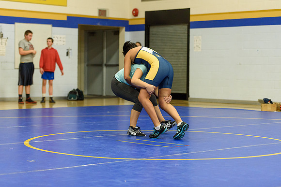 Wrestling DHS 011516-3-5088