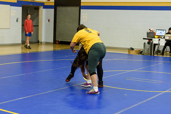Wrestling DHS 011516-3-5954