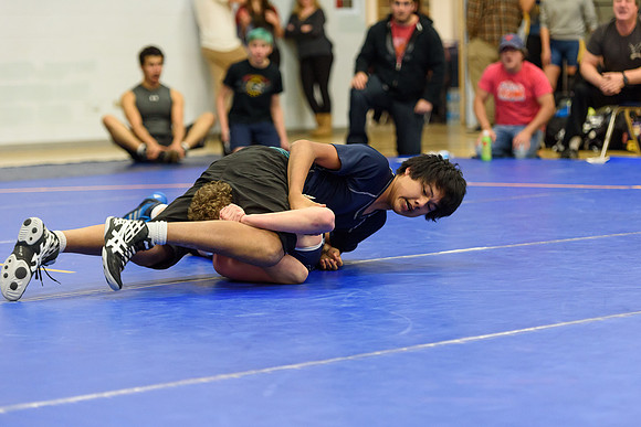 Wrestling DHS 011516-3-2546