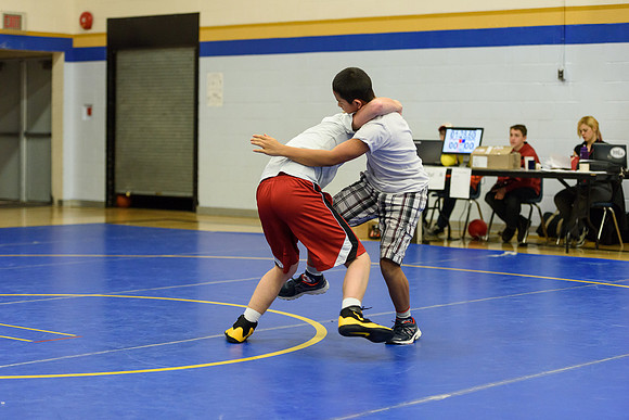 Wrestling DHS 011516-3-4498