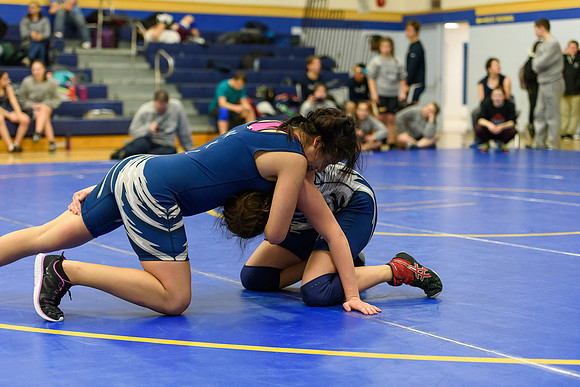 Wrestling DHS 011516-3-4243