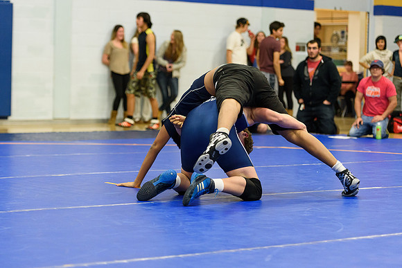 Wrestling DHS 011516-3-2478