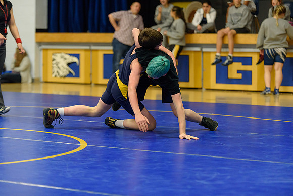Wrestling DHS 011516-3-5294