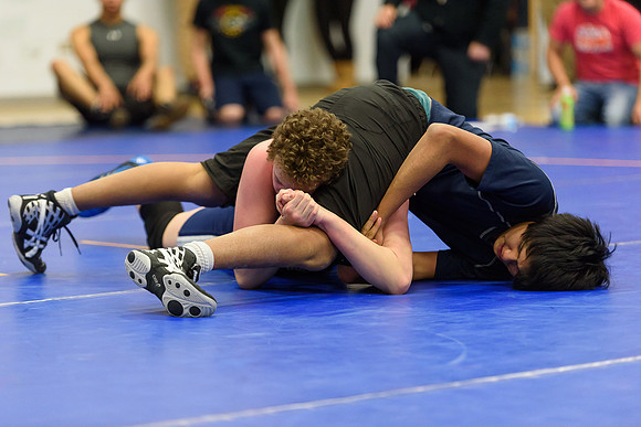 Wrestling DHS 011516-3-2548