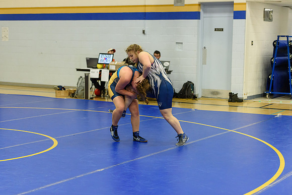 Wrestling DHS 011516-3-5859