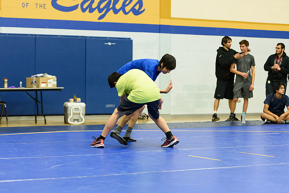 Wrestling DHS 011516-3-4063