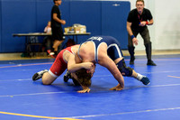 Wrestling DHS 011516-3-2691