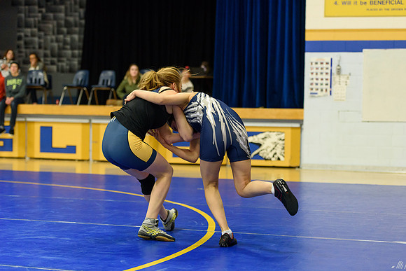 Wrestling DHS 011516-3-3994