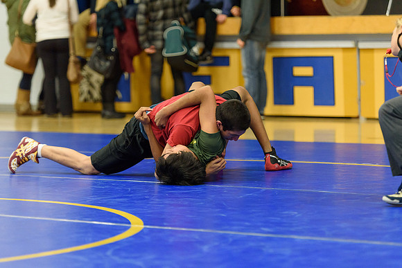 Wrestling DHS 011516-3-2920