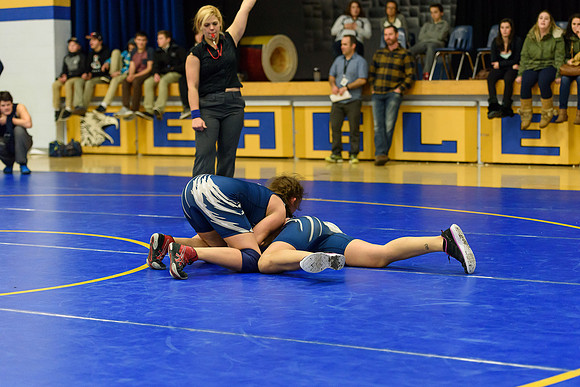 Wrestling DHS 011516-3-4279