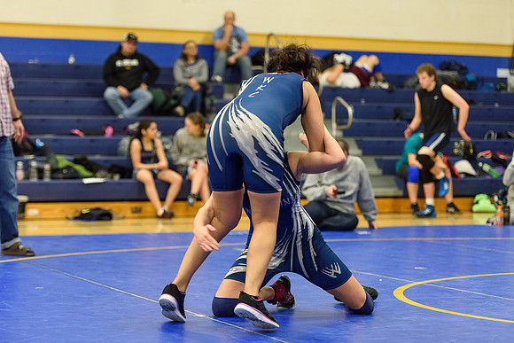 Wrestling DHS 011516-3-4233