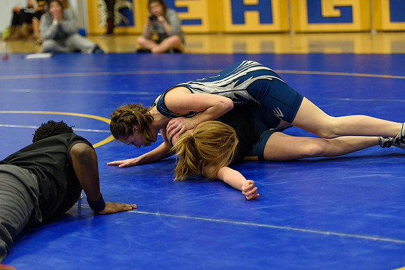 Wrestling DHS 011516-3-4984
