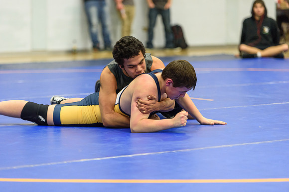 Wrestling DHS 011516-3-3554