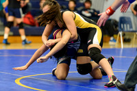Wrestling DHS 011516-3-2300