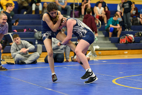 Wrestling DHS 011516-3-3300