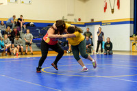 Wrestling DHS 011516-3-2705
