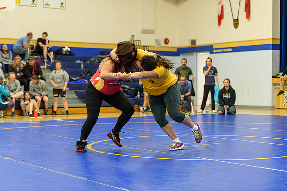 Wrestling DHS 011516-3-2705
