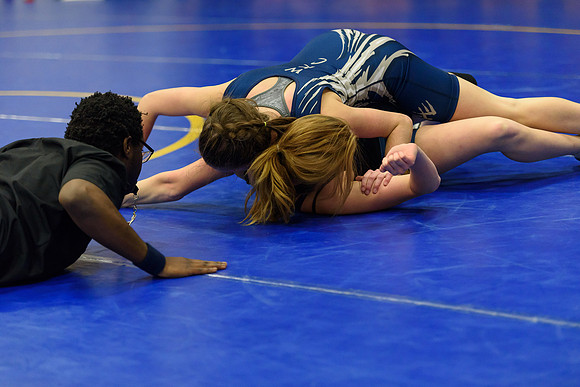Wrestling DHS 011516-3-4988