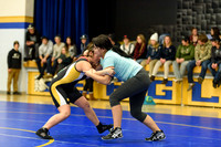 Wrestling DHS 011516-3-2360